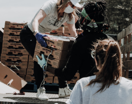 Personas trabajando con aguacates