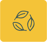 hojas-fondo-amarillo