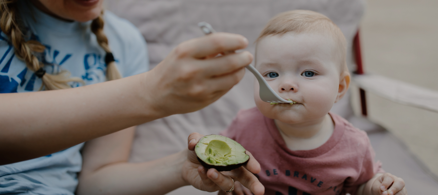 cabecera-home-abocados